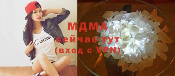 сатива Новозыбков