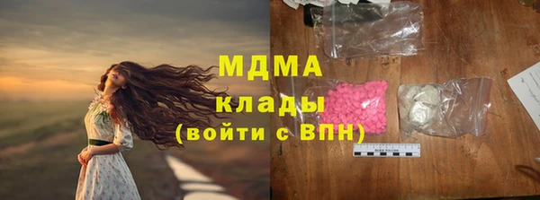 сатива Новозыбков
