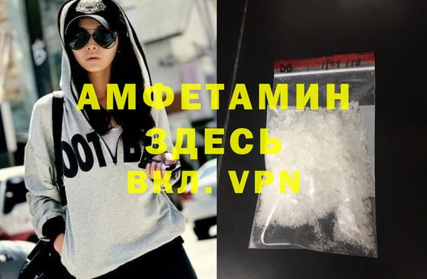 сатива Новозыбков