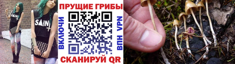 где купить наркоту  Нижняя Салда  Галлюциногенные грибы мухоморы 